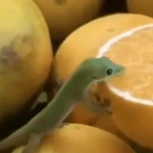 Meet your Posher, Zach